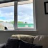 Crow Visitors